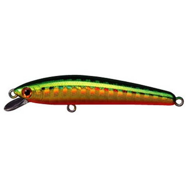 スミス パニッシュ 55F HH GOR 29