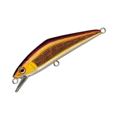 スミス D-コンタクト 50 D-CONTACT アカキン 02