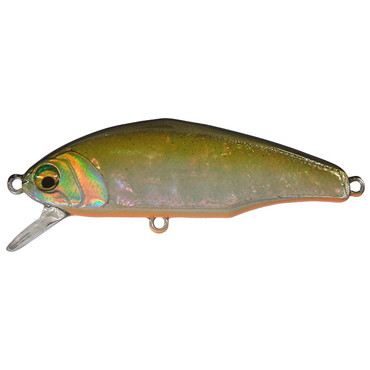 スミス D-インサイト 53アワビTSアワビ 02