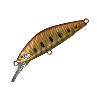 スミス　Ｄ－コンセプト４８ＭＤオレンジハク　０９