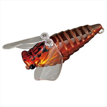 スミス 大美蝉(ダイビセン) 02 ハルゼミ メス