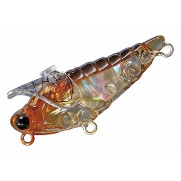 スミス 大美蝉(ダイビセン) シェル ハルゼミオス 01