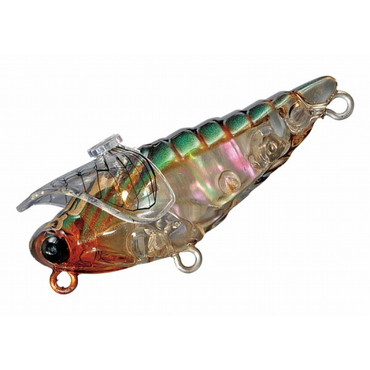 スミス 大美蝉(ダイビセン) シェル マジョーラ 38