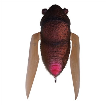 メガバス　ＴＩＮＹ　ＳＩＧＬＥＴＴ（タイニーシグレ）　ＦＦマットブラウンバグ