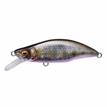 ﾒｶﾞﾊﾞｽ GH46 HUMPBACK(ｸﾞﾚｰﾄﾊﾝﾃｨﾝｸﾞ46 ﾊﾝﾌﾟﾊﾞｯｸ)(FS) ﾀｸﾐｻｹ稚魚