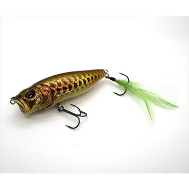 メガバス バスルアー POPMAX(ポップマックス） (SP-C)ドラゴンフィッシュG