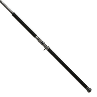 テイルウォーク TW オキナワマンビカ C100SSXH