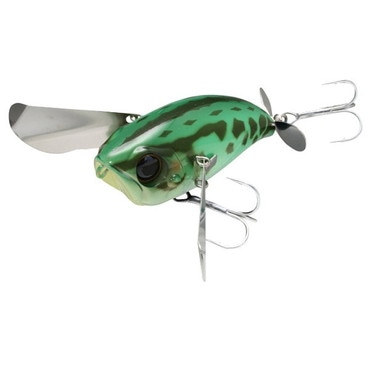 ジャッカル　ポンパドール　トノサマガエ～ル