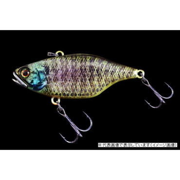 ジャッカル　ＴＮ６０　ＲＴウロコホロ　ブルーギル