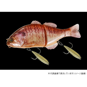 ジャッカル　チビタレル　ＲＴカワシマアルビノギル