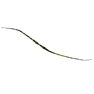 ジャッカル ビンビン玉T+ネクタイ セミカーリー シマシマグリパンゴールド