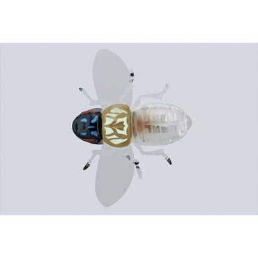 ジャッカル バグドッグ バグスケルトン