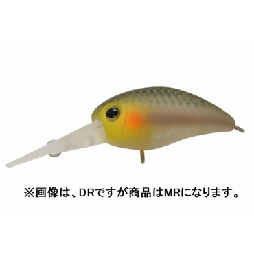 【特価】ティモン（ジャッカル）　パニクラＭＲ　静岡美人