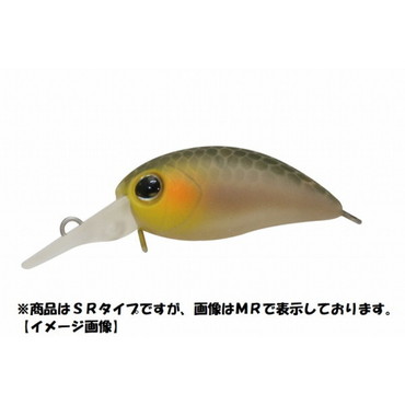 ジャッカル　ちびパニクラＳＲ　静岡美人