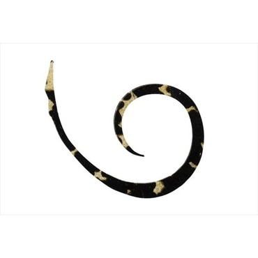 ジャッカル タイラバ 鯛ラバ ビンビンスイッチT+ネクタイ マイクロカーリー スリム ブラックゴールド