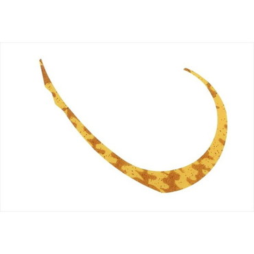 ジャッカル タイラバ 鯛ラバ ビンビンスイッチT+ネクタイ マイクロカーリー ワイド エビオレ