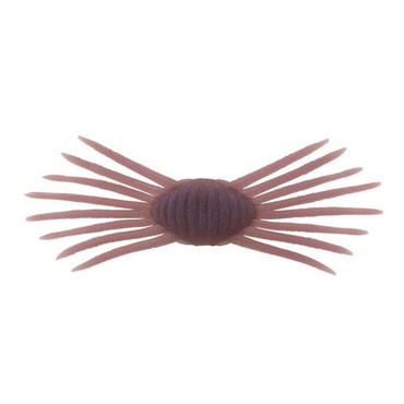 ジャッカル ワーム ドリフトクラブミニ ベンケイガニ