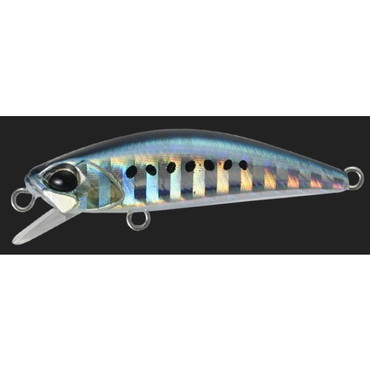 デュオ(DUO) テトラワークス トト 42 #TH-01 マイワシ