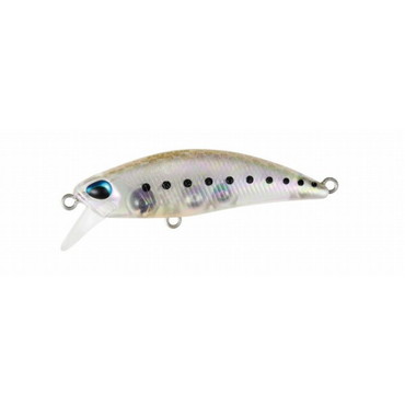 デュオ テトラワークス トト48HS マットシラス