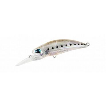 デュオ テトラワークス トトシャッド48S マットシラス