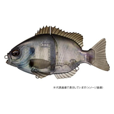 エバーグリーン ブリムスライド #634 スケルトンブリム