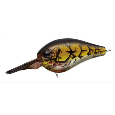 エバーグリーン ピッコロ #81 ブリーディングブラウンクロー