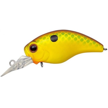 エバーグリーン バスルアー ワイルドハンチSR #361 シトラスチャート