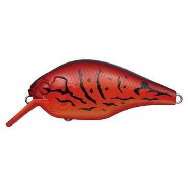 エバーグリーン ゼルク プティ #64 ファイアークロー