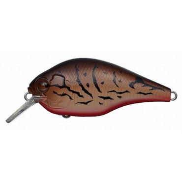 エバーグリーン ゼルク プティ #357 シークレットクロー