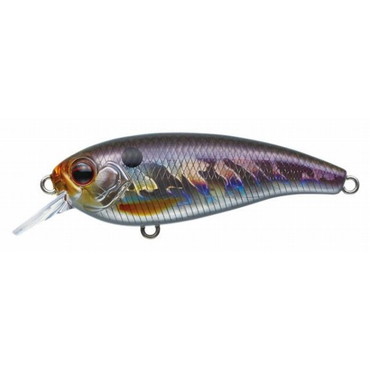 エバーグリーン ベルカント #209 ホログラムワカサギ