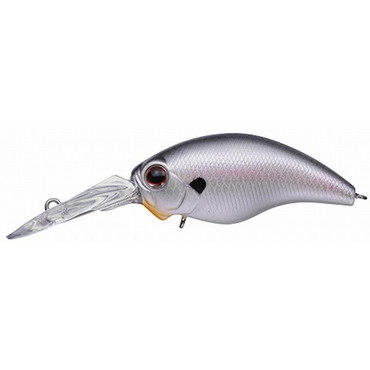 エバーグリーン　ワイルドハンチ　コールドシャッド