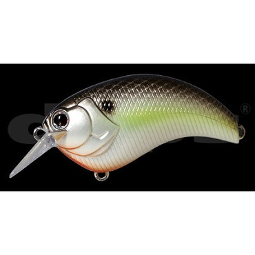 deps イヴォーク2.0 #18 ブラックバックシャッド