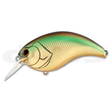 deps(デプス) イヴォーク 3.0 #06 ゴールデンシャイナー