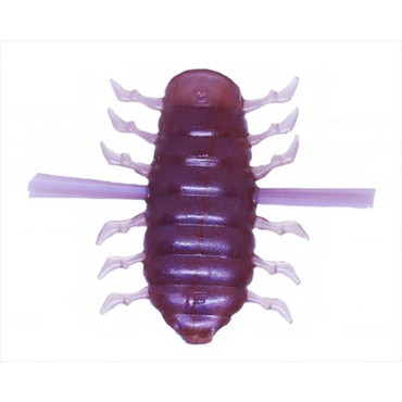 エンジン　BOOM　ブーン #56 ミミガエル