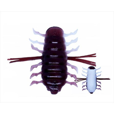 エンジン　BOOM　ブーン #58 スカッパノンホワイト