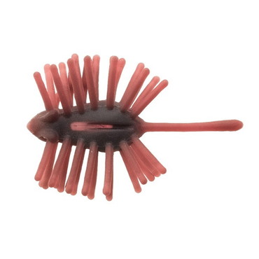 ティムコ ワーム CTハリネズミミニ ECO #16 ダークミミズ