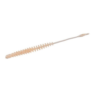 ダイワ アジングビームバチコン 2.2インチ 微弱グローオキアミ