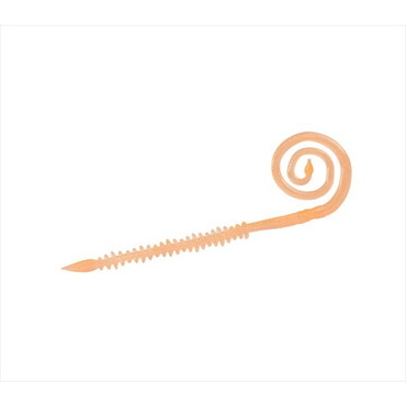 ダイワ 紅牙中井蟲カーリー7 紅牙オレンジ