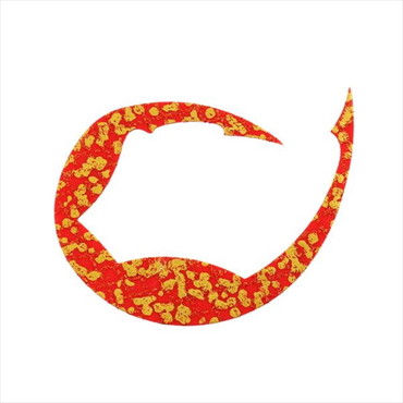 ダイワ タイラバ 鯛ラバ 紅牙シリコンネクタイパデシャ極厚 M ゴールドメッシュレッド