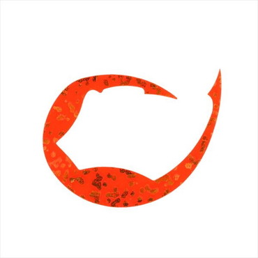 ダイワ タイラバ 鯛ラバ 紅牙シリコンネクタイパデシャ極厚 L 寿オレンジ