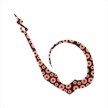 ダイワ タイラバ 鯛ラバ 紅牙テクニカーリー 0.8MM 蛸足ケイムラオレンジ