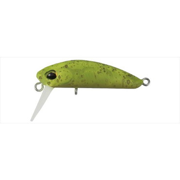 ＤＵＯ（デュオ）　クーガ　ワイドウォーク　クリアアボカド