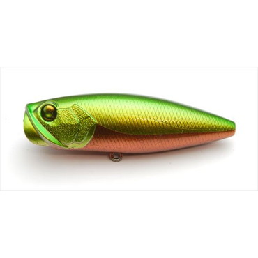 レイドジャパン バスルアー ツーサイド ムシパターン