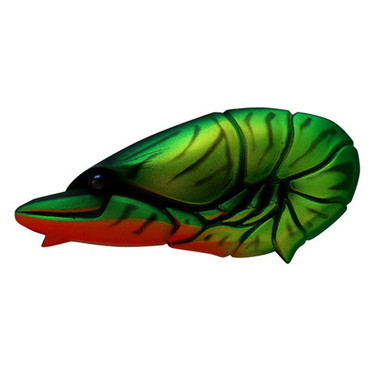 イッセイ G．C．ザリバイブＪｒ５７　チャートブルーバック