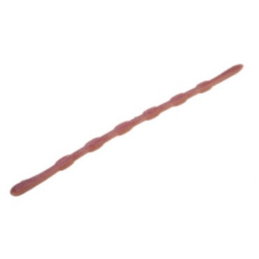 ディスタイル ワーム ミミキング 8.8インチ マジミミズ