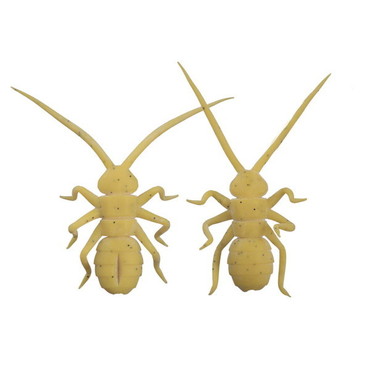 OSP ワーム Orikanemushi II OM011 ミツバチ