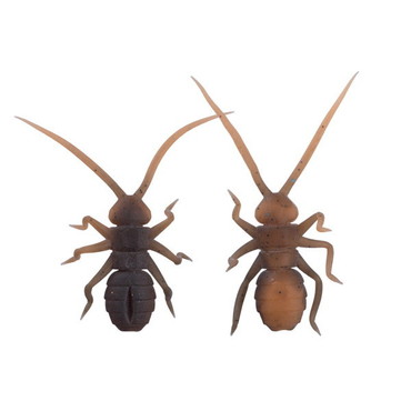 OSP ワーム Orikanemushi II OM027 アカガエル