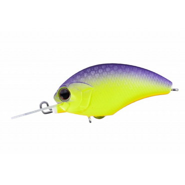 ＯＳＰ　タイニーブリッツＭＲ　（ＴＩＮＹ　ＢＬＩＴＺ）　ＰＰ８１　チャートパープルバック