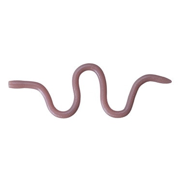 OSP MMZ チビ W066エサナチュラル