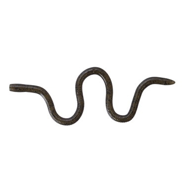 OSP MMZ チビ W004グリーンパンプキンペッパー